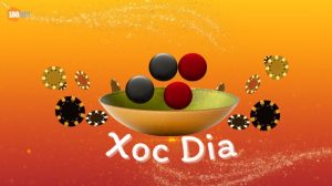 Beginner’s Guide to Playing Xoc Dia at Ricbet