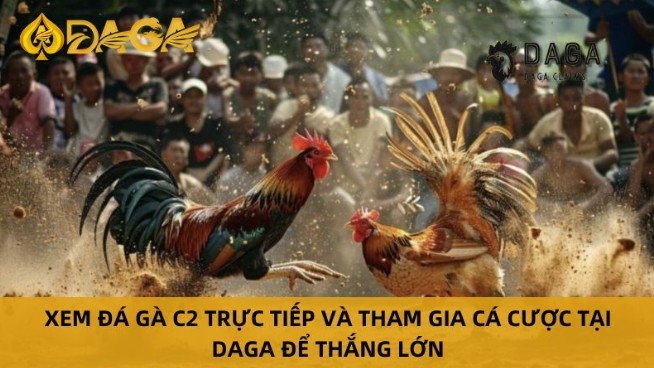 Detailed Step by Step Guide to Watching Live C Cockfighting on Daga Detailed Step by Step Guide to Watching Live C Cockfighting on Daga